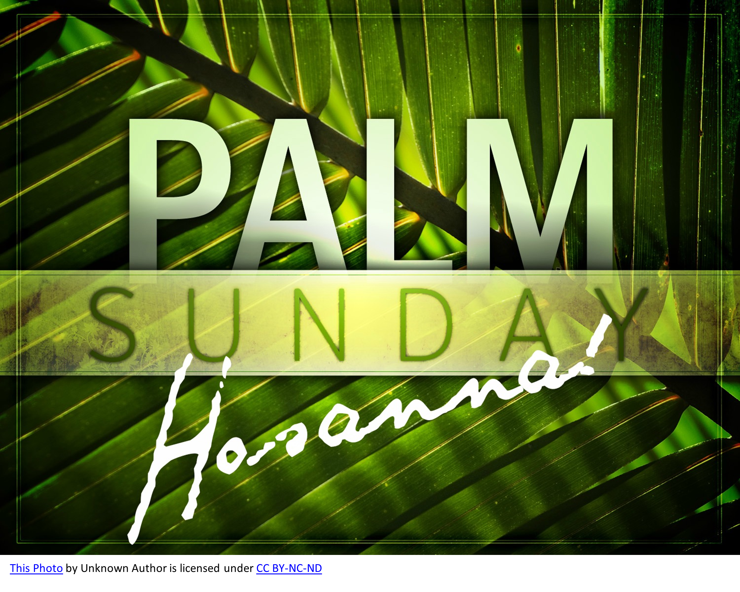 palm sunday hosanna